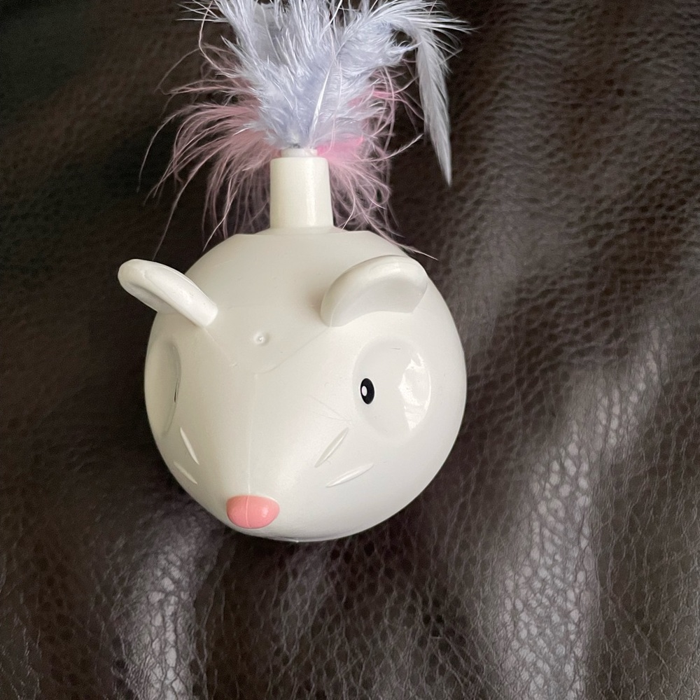 Cat goodies - Picture 6 of 6